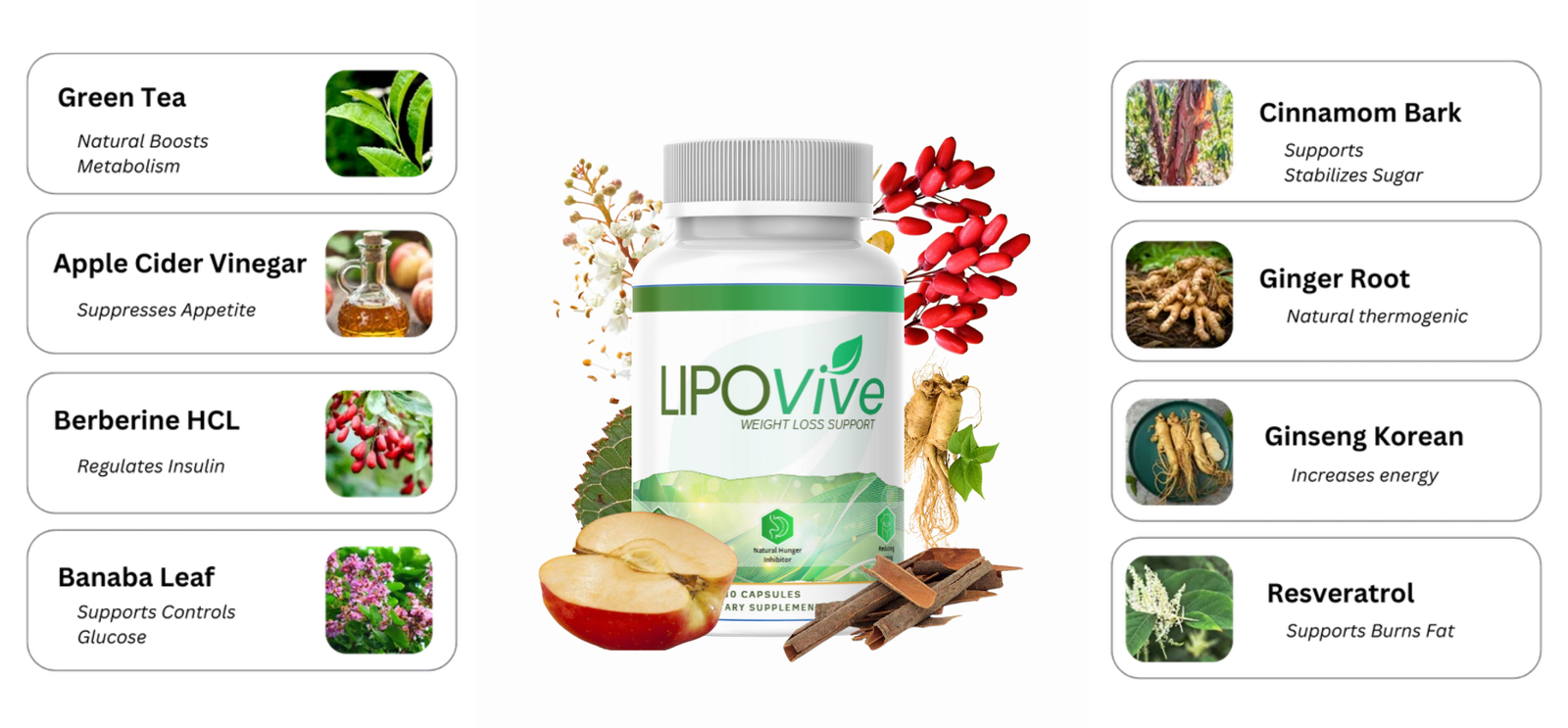 LipoVive Supplement Facts